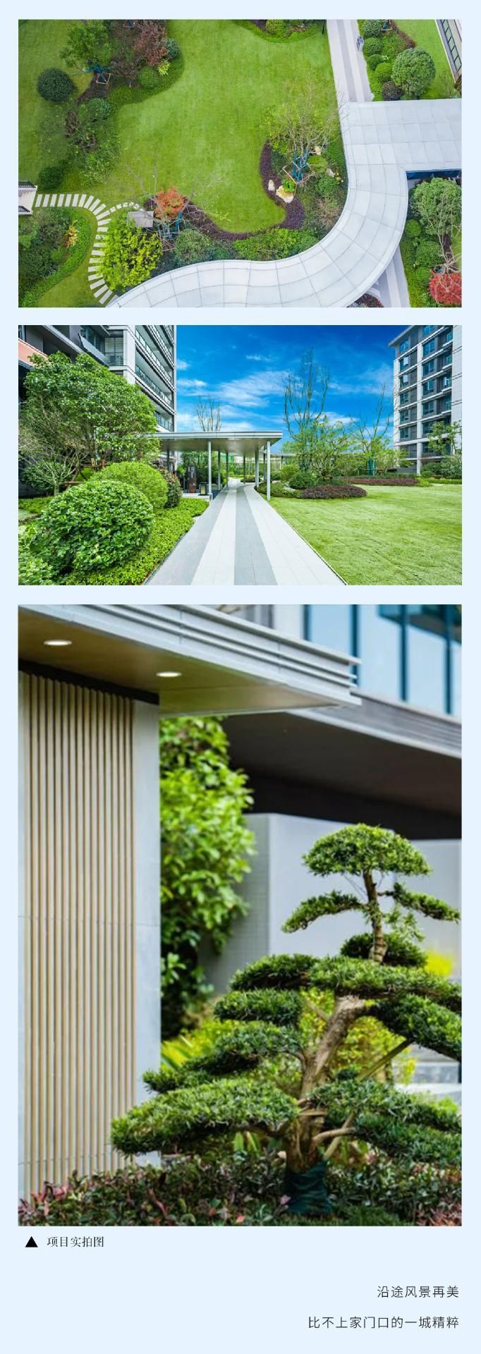 香港最全免费资料大全